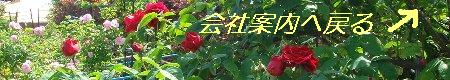 会社案内ページへ戻る